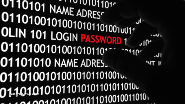 Hacker-Computer-Theft-Password-Identity-Steal
